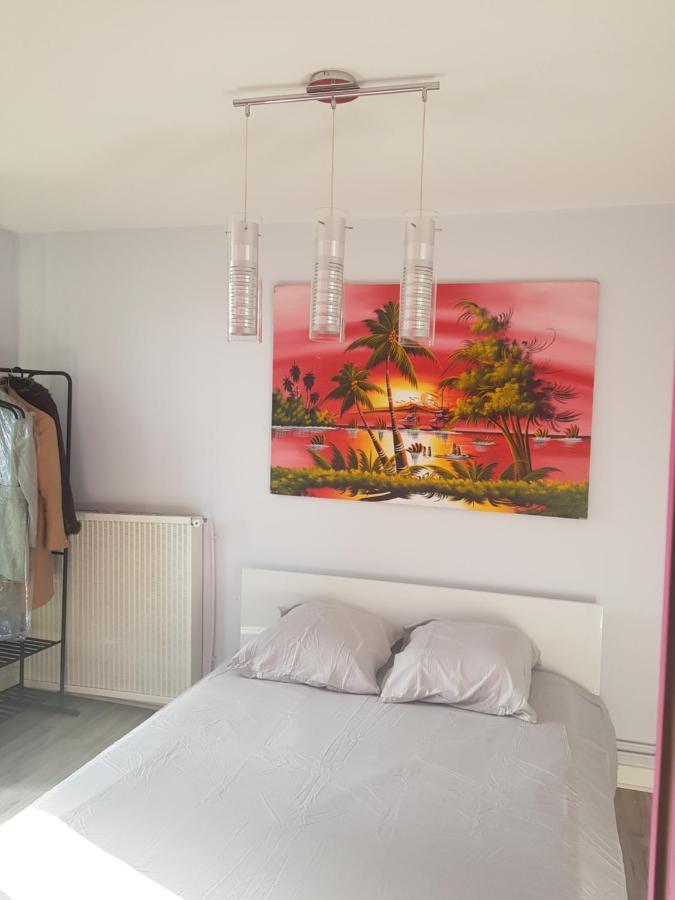 Chambres A Louer Dans Appartement Balcon - Wifi - Parking Gratuit Nevers Eksteriør billede