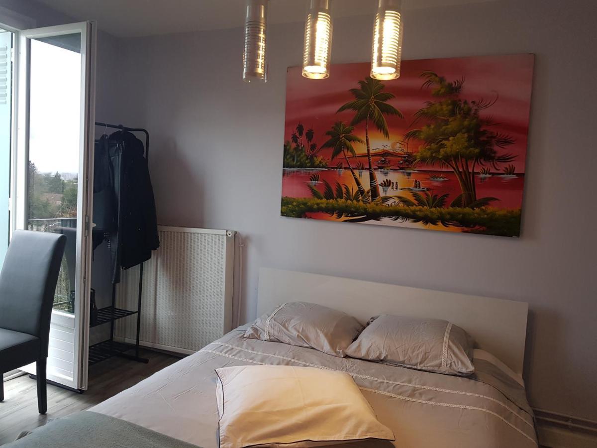 Chambres A Louer Dans Appartement Balcon - Wifi - Parking Gratuit Nevers Eksteriør billede