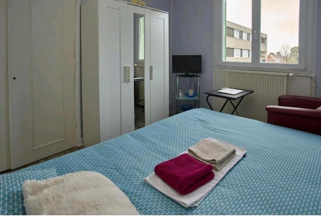 Chambres A Louer Dans Appartement Balcon - Wifi - Parking Gratuit Nevers Eksteriør billede