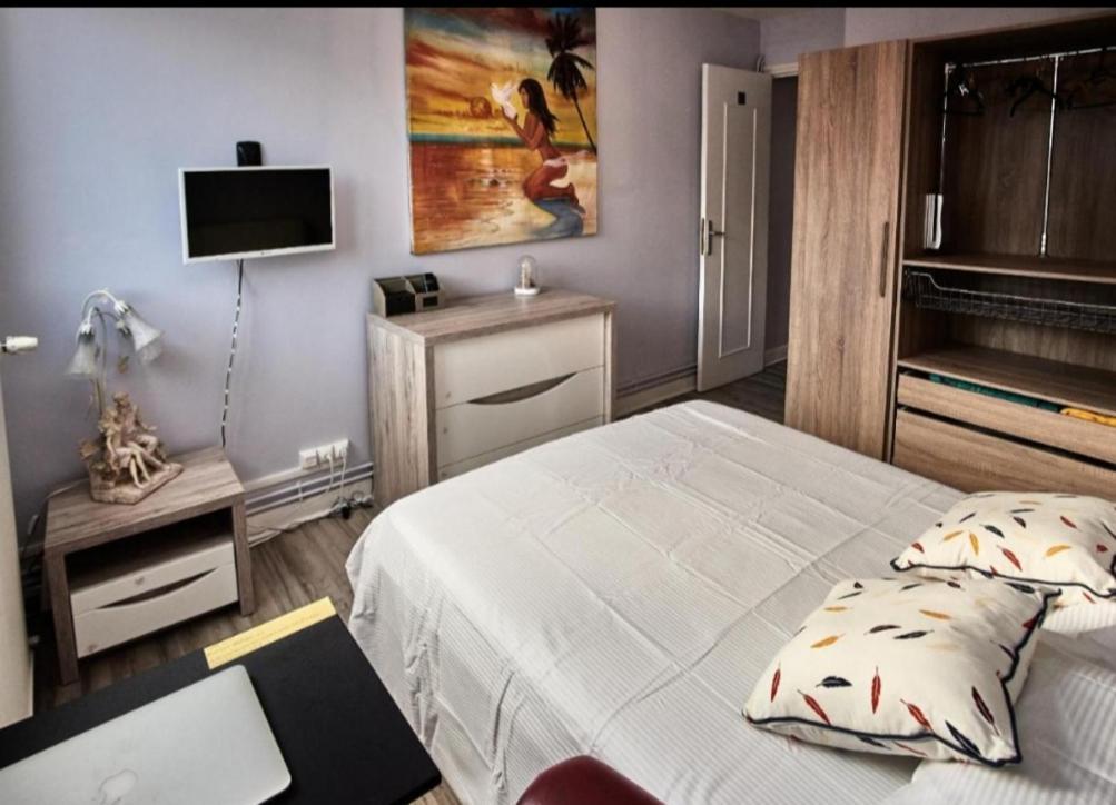 Chambres A Louer Dans Appartement Balcon - Wifi - Parking Gratuit Nevers Eksteriør billede